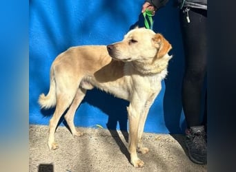 EDU der liebenswerte Bub