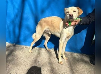 EDU der liebenswerte Bub