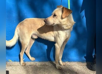 EDU der liebenswerte Bub