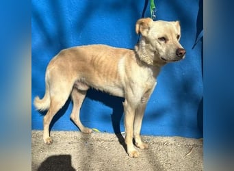 EDU der liebenswerte Bub