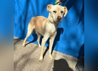 EDU der liebenswerte Bub