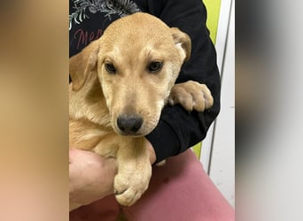 Moby wünscht sich ein Zuhause