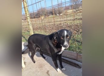 Bibi wartet schon so lange