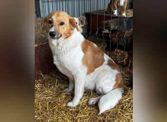 Omi Lydia wünscht sich ein Zuhause