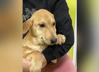 Moby wünscht sich ein Zuhause