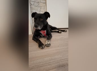 Blacky freut sich auf Deinen Besuch
