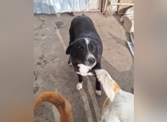 Bibi wartet schon so lange