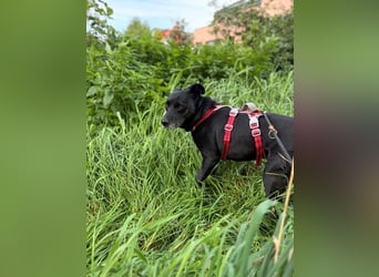 Blacky freut sich auf Deinen Besuch