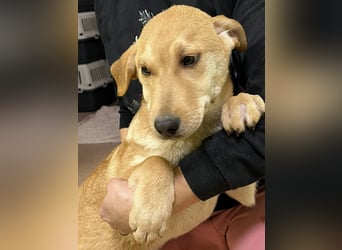 Moby wünscht sich ein Zuhause