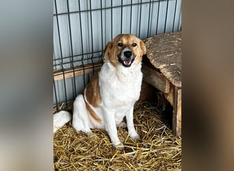 Omi Lydia wünscht sich ein Zuhause