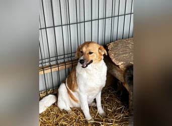 Omi Lydia wünscht sich ein Zuhause