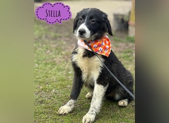 Stella ein unsicheres Mädchen