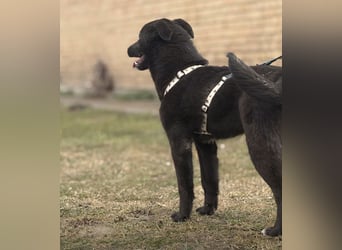 Enya eine wundervolle Seele