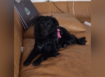 Enya eine wundervolle Seele