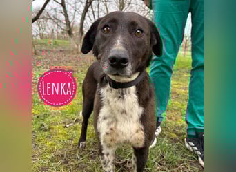 Lenka braucht ein neues Zuhause