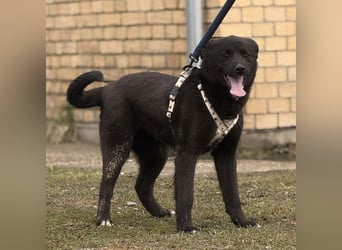 Enya eine wundervolle Seele