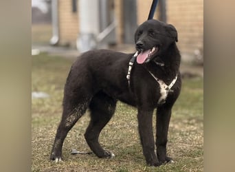 Enya eine wundervolle Seele