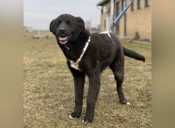 Enya eine wundervolle Seele