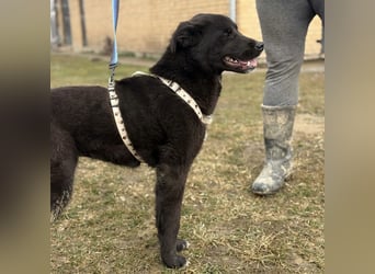 Enya eine wundervolle Seele