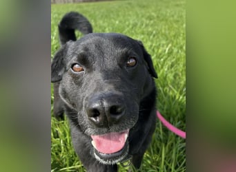 John - sehnt dich nach Liebe