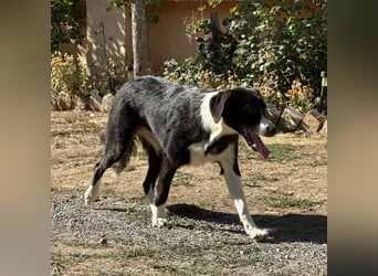 Stella ein unsicheres Mädchen