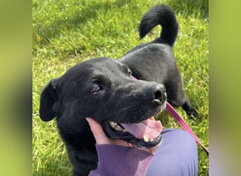 John - sehnt dich nach Liebe