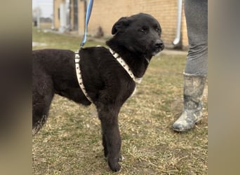 Enya eine wundervolle Seele