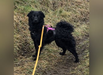 Enya eine wundervolle Seele