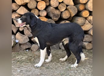 Stella ein unsicheres Mädchen
