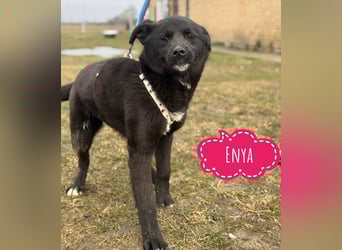 Enya eine wundervolle Seele