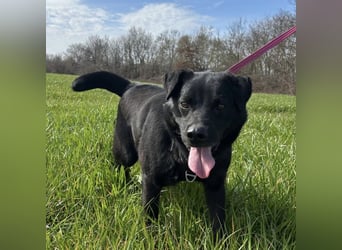 John - sehnt dich nach Liebe