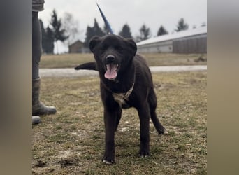 Enya eine wundervolle Seele