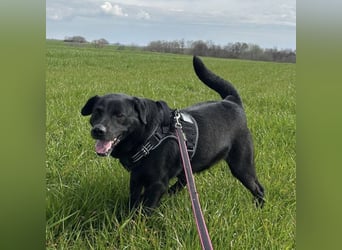 John - sehnt dich nach Liebe