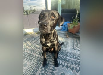 Suche ein neues zu Hause