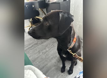 Suche ein neues zu Hause