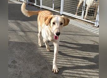 Trilly: ein Schatz für die ganze Familie