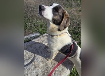 Carlo: was will man mehr?