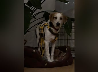 Anouk: sucht Liebe und Geborgenheit