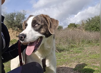 Carlo: was will man mehr?