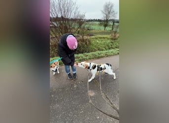 Anouk: Angsthäschen sucht Familienanschluss