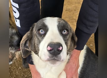 Carlo: ihn muss man lieb haben