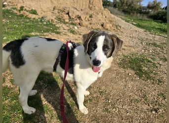 Carlo: was will man mehr?