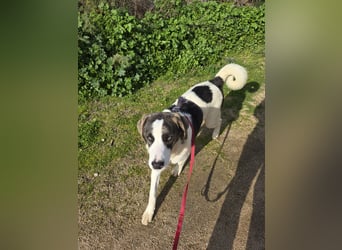 Carlo: was will man mehr?