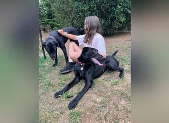 Benni- kleiner Charmeur sucht sein Glück Benni- kleiner Charmeur sucht sein Glück