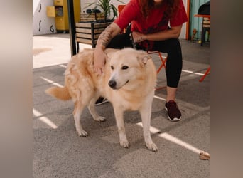 Wundervolle Capuccina