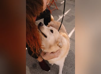 Wundervolle Capuccina