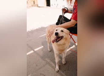 Wundervolle Capuccina