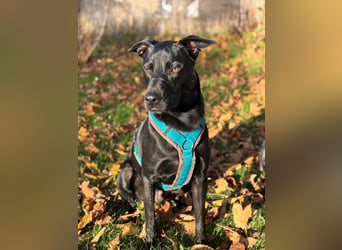 ❤️ Sunny Pflegefamilie 41812 Erkelenz