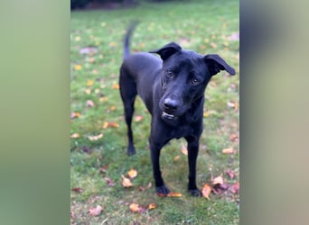 ❤️ Sunny Pflegefamilie 41812 Erkelenz