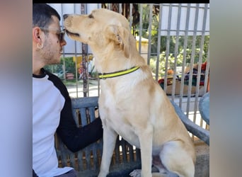 Akash - RESERVIERT - für mehr Lachen, Leben und Liebe in deinem Alltag